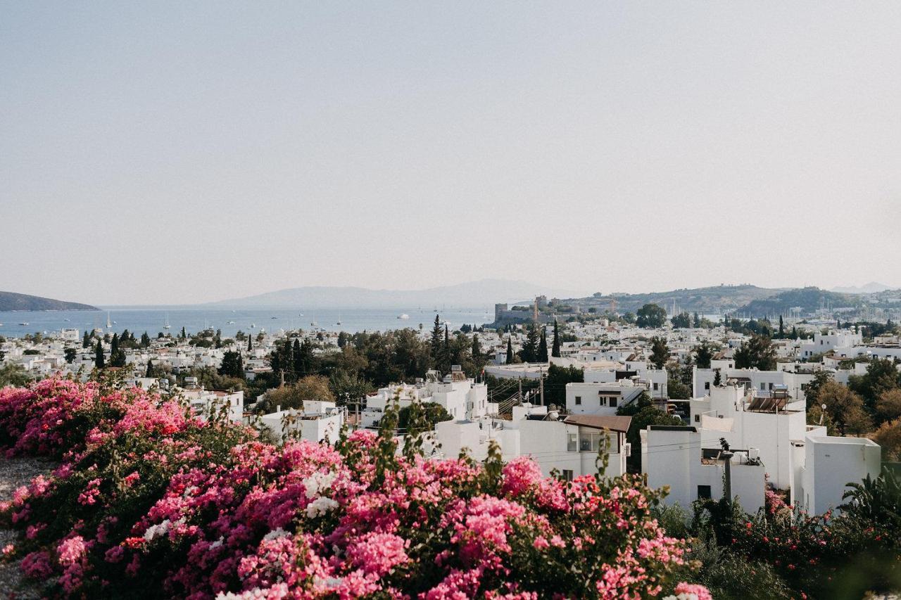 El Vino Hotel&Suites Bodrum Exterior foto